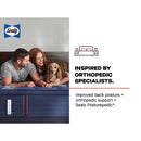  Size_California King -- Albany II Tight Top Firm Mattress (California King) IMAGE 17