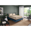  Tempur-Pedic TEMPUR-Adapt Luxe Egyptian Cotton Sheets - Sandstone (Split King) IMAGE 1